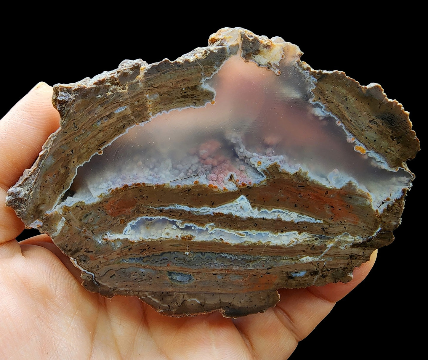 Rare Thunder Egg Pair