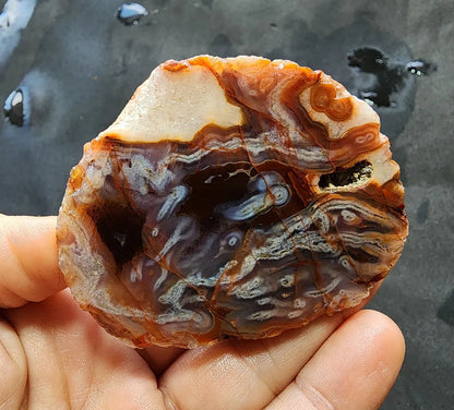 Worm Agate