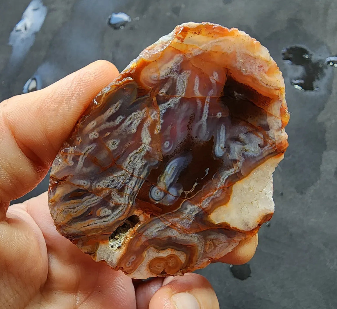 Worm Agate