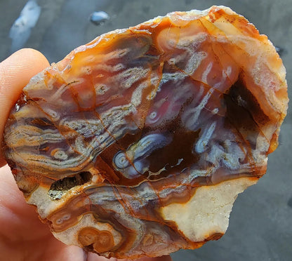 Worm Agate