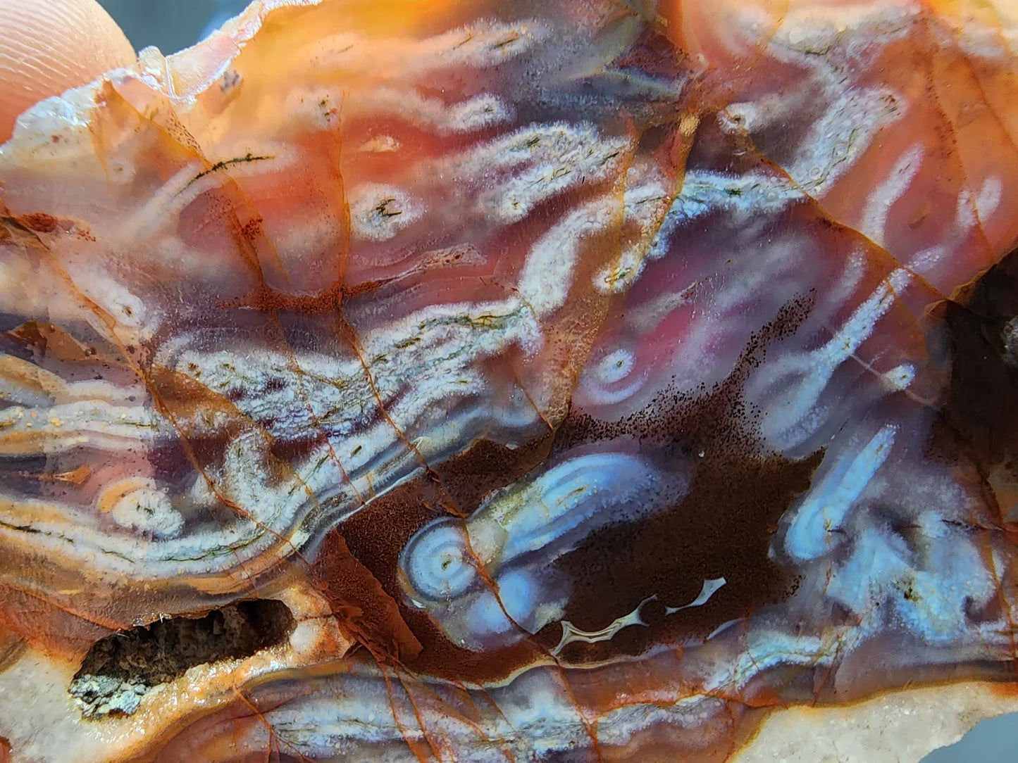 Worm Agate