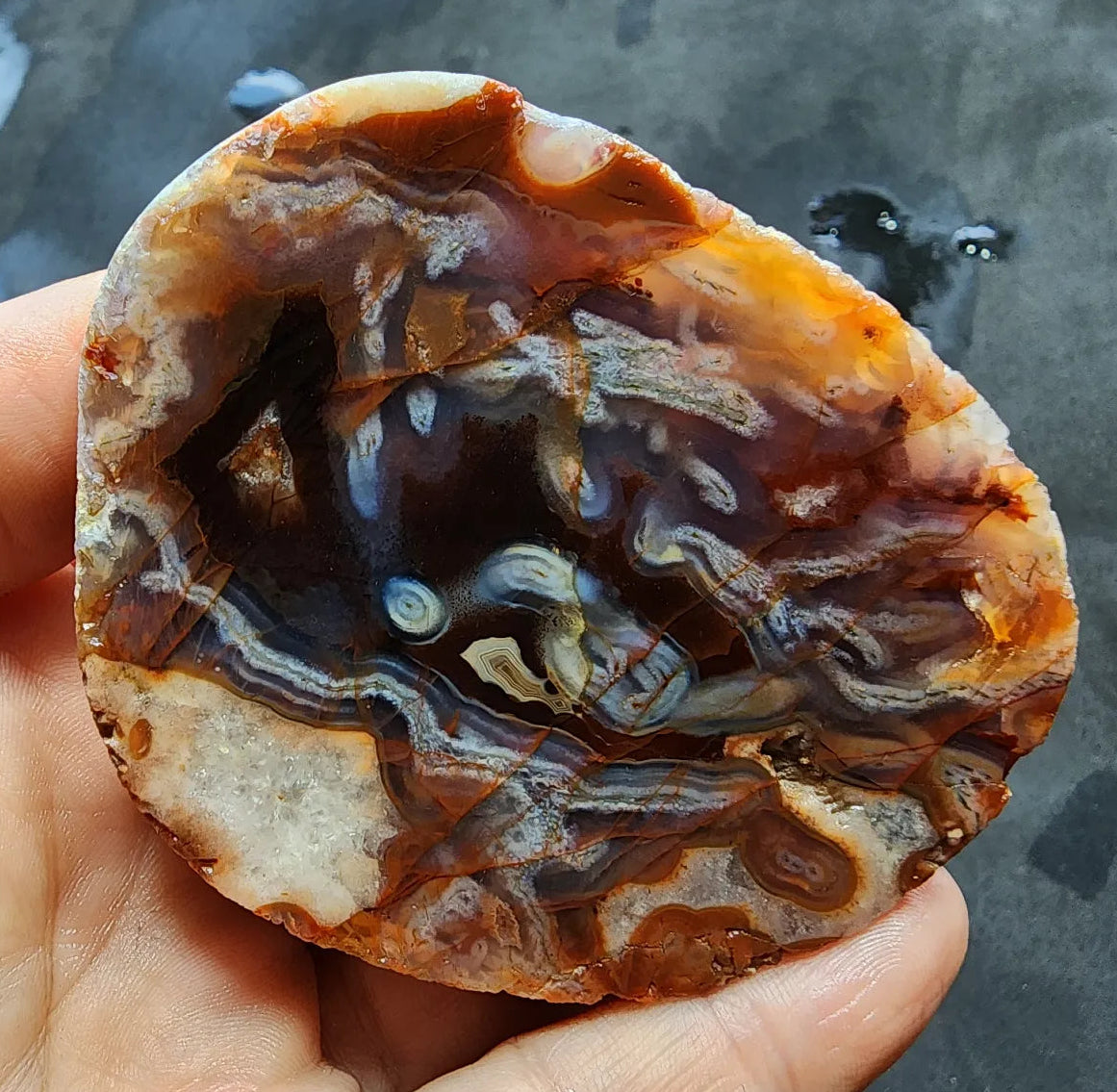Worm Agate