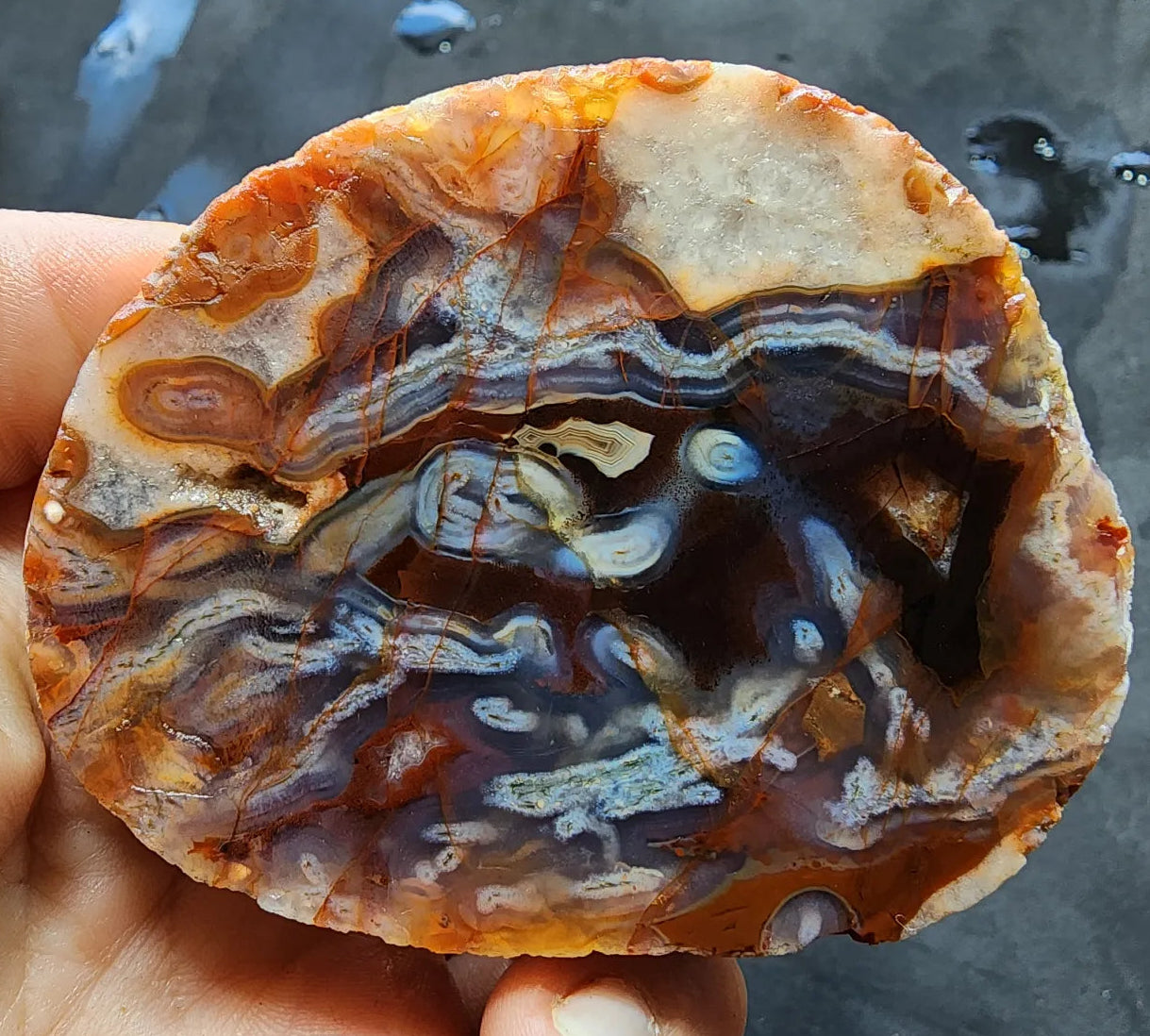 Worm Agate