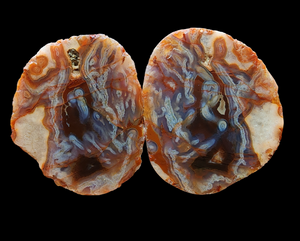 Descriptive image text