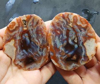 Worm Agate