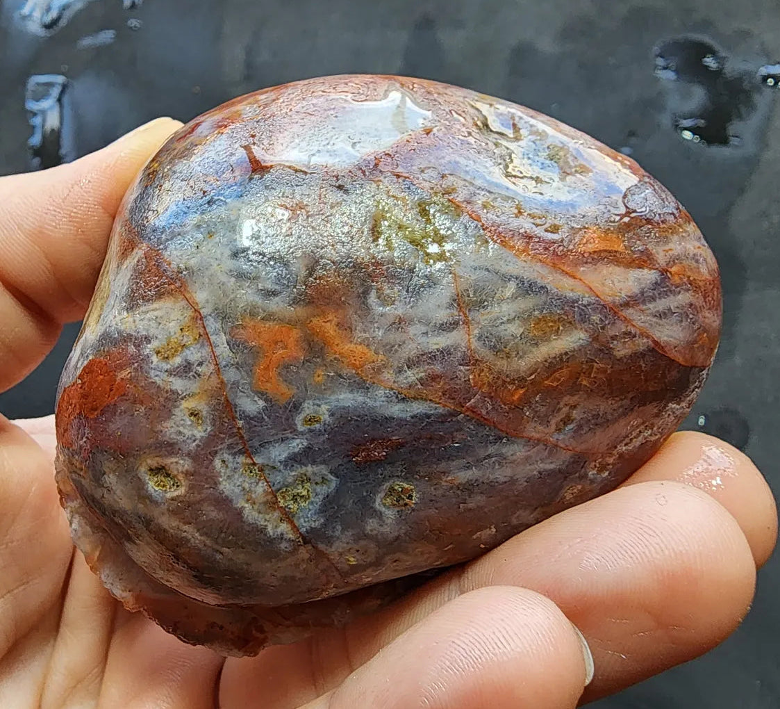 Worm Agate