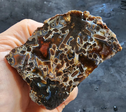 Tube Agate Pair