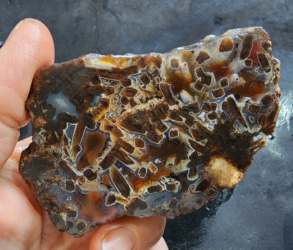 Tube Agate Pair